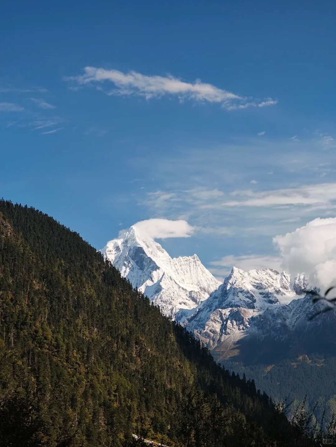 中国最后一个通公路的县城墨脱,进藏必去。_5_行走的阿卓_墨脱-来自52tours 我爱旅游网 (1)